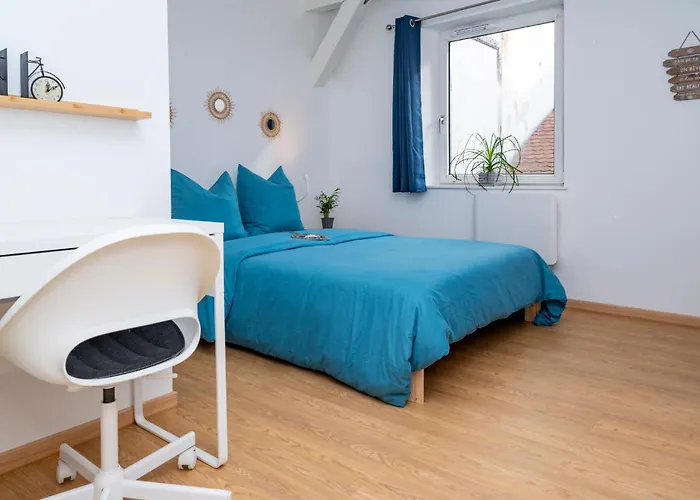 Le Bretzel Petite Venise Vieille Center Wi-fi Homestay Colmar